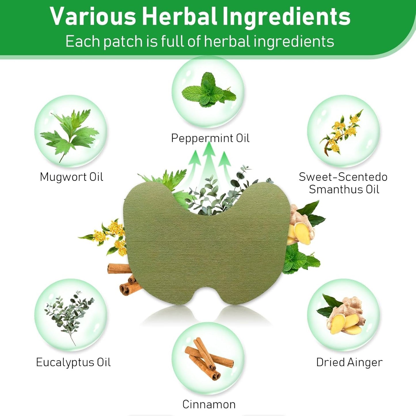 Telinala ― ドイツの薬剤師が高齢者の肩・脚・腰の痛みのために特別に開発した、天然ハーブ配合の鎮痛パッチです🌿🌿