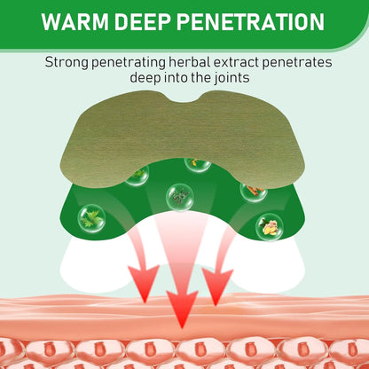 Telinala ― ドイツの薬剤師が高齢者の肩・脚・腰の痛みのために特別に開発した、天然ハーブ配合の鎮痛パッチです🌿🌿
